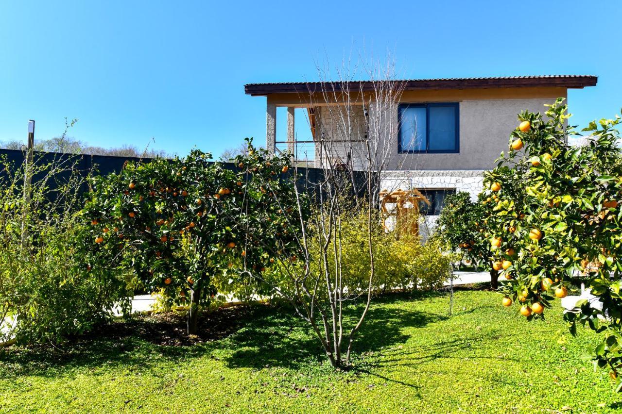 Volans Suites Villas Фетие Екстериор снимка